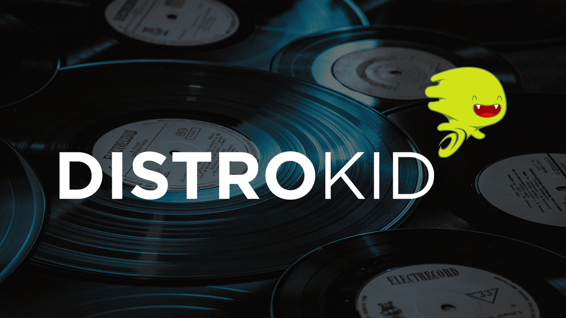 DistroKid vs Ditto Music: Which one is suitable for your budget?